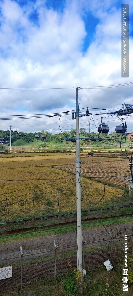 韩国首尔田野风光中的电线杆