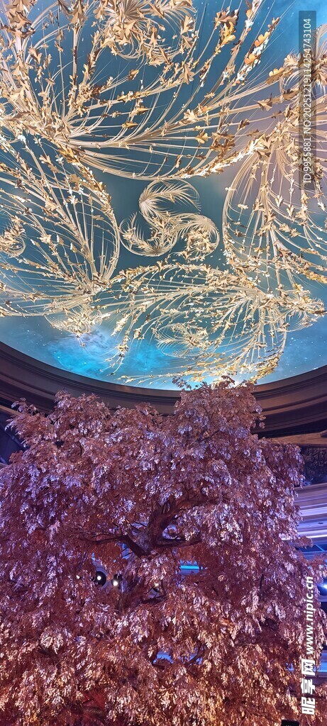 大湾区澳门梦幻海底珊瑚景观