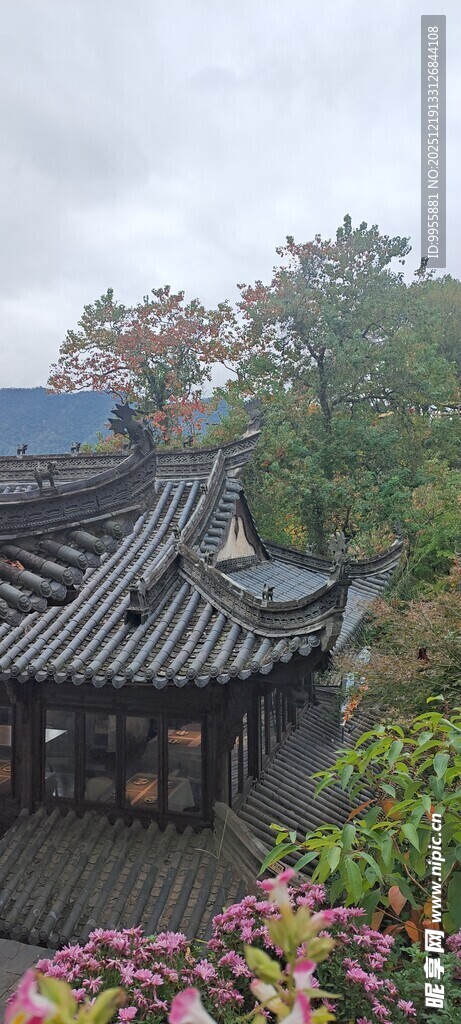 中式园林景致繁花伴古建