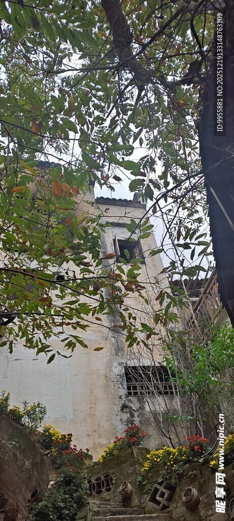 江西婺源庭院绿树环绕景致清幽