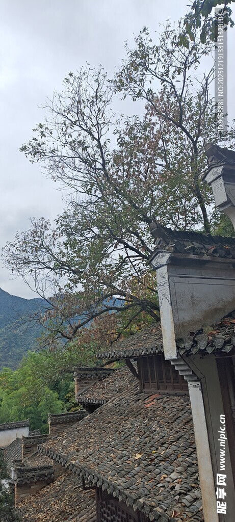 江西婺源古朴山村屋顶与远山景色