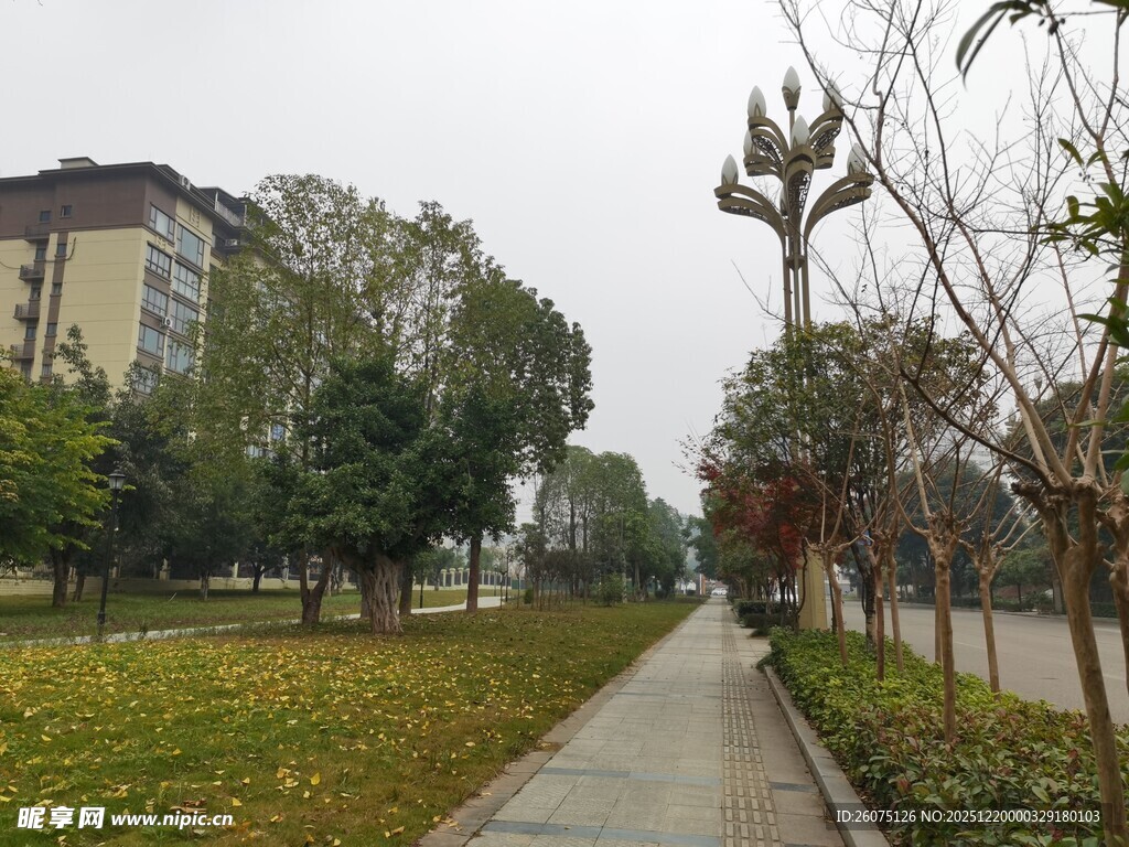 城市公园中的宁静小径