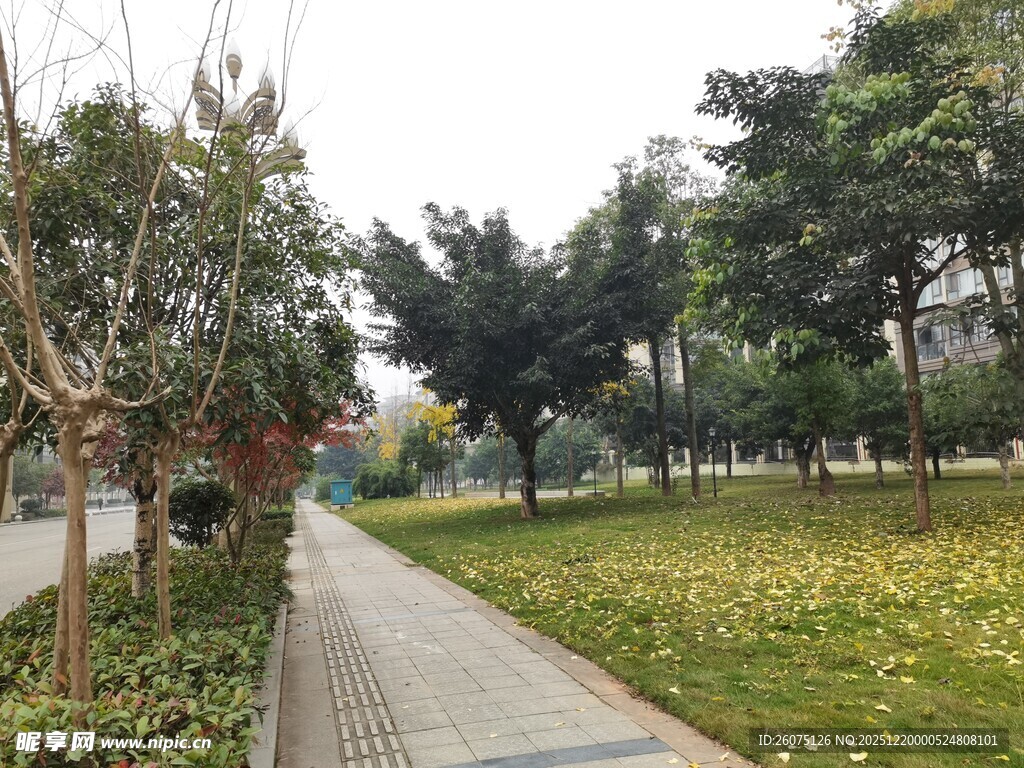 秋日公园幽静小道