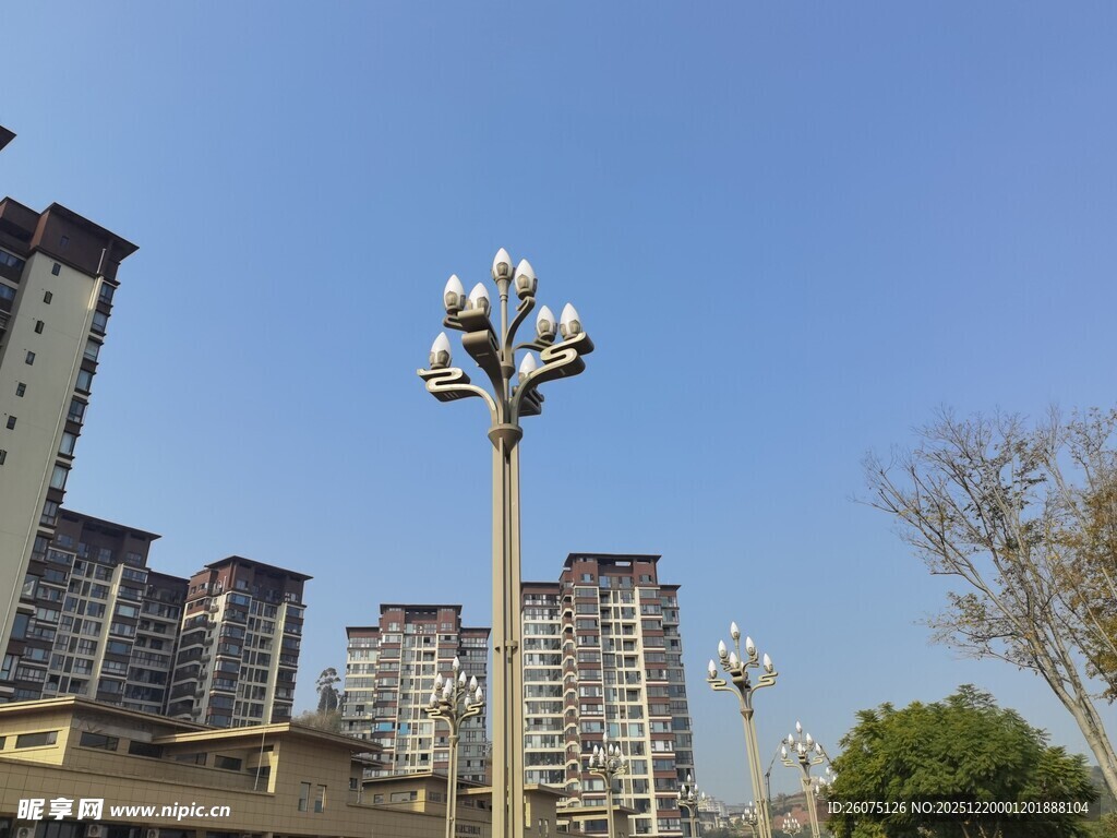 城市路灯与高楼景观