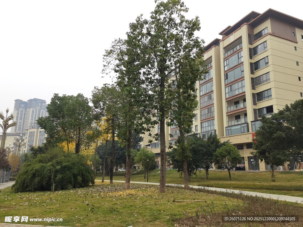 小区内的绿化景观