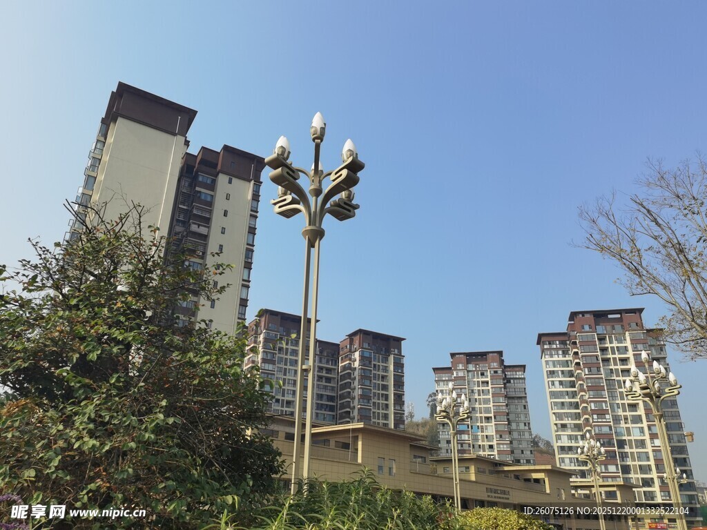 城市高楼与路灯景观