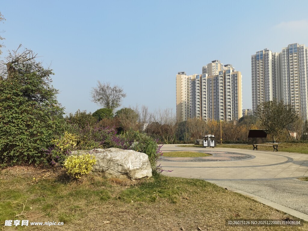 城市公园旁的高楼景观