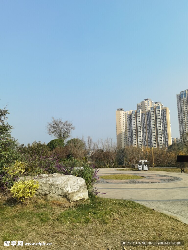 城市公园旁的高楼景观