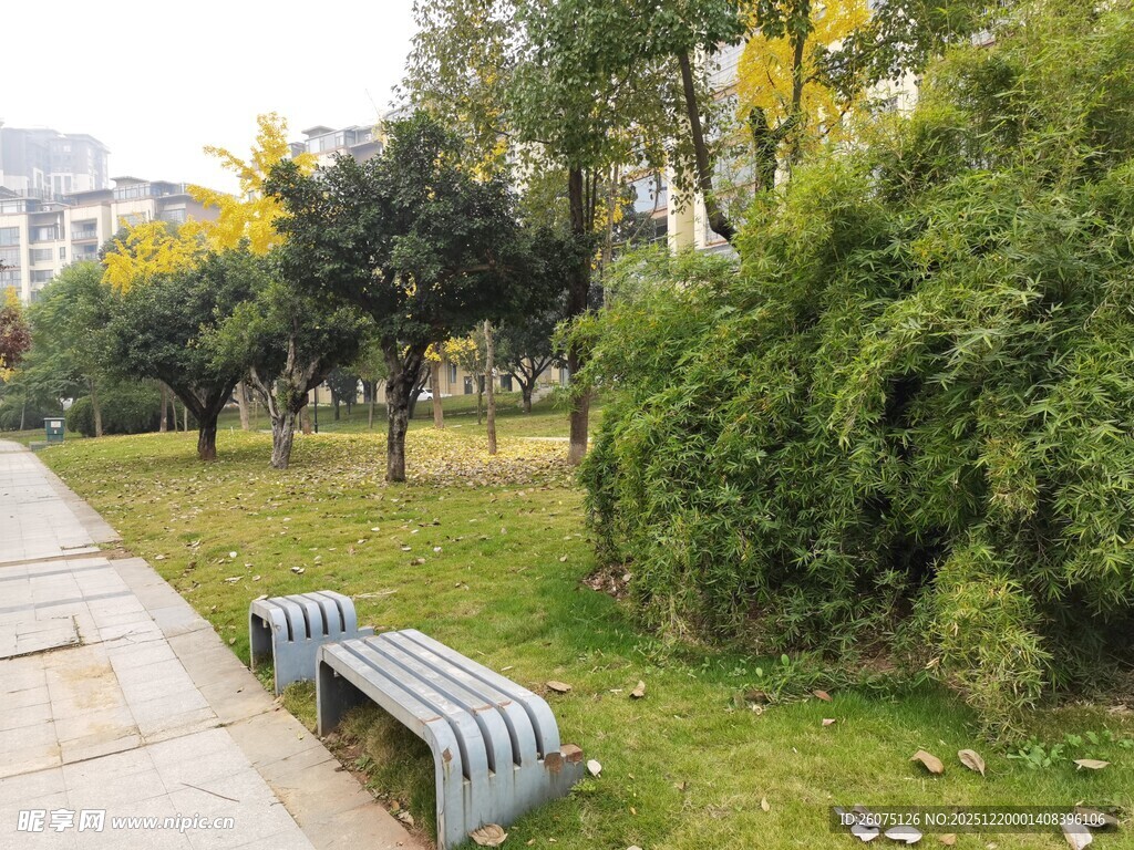 公园长椅旁的绿植景观