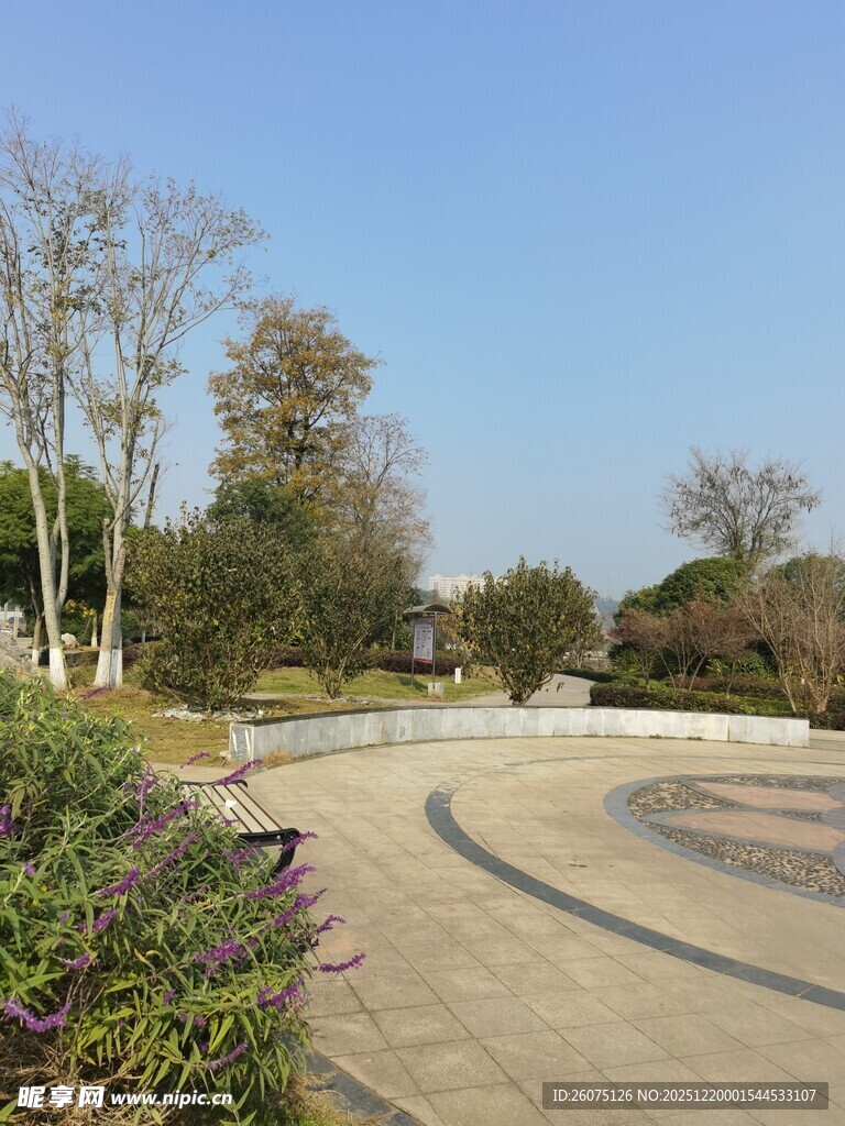 公园中的宁静步道景观