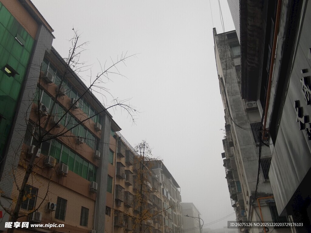 雾中城市街道景象