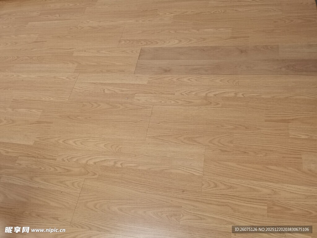 浅色木质地板纹理特写