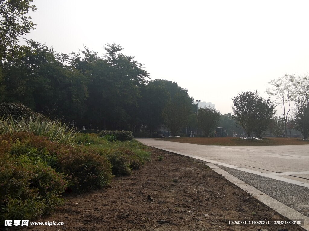 城郊道路旁的绿植景观