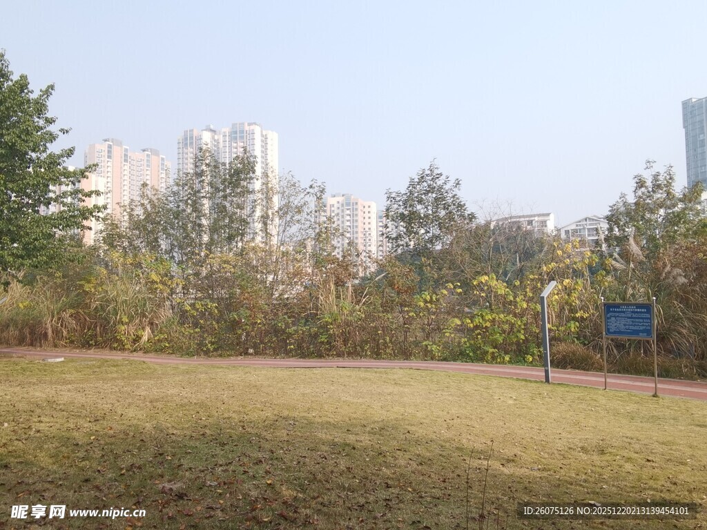城市中的开阔绿地景观
