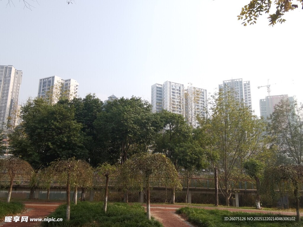 城市中的静谧园林景观