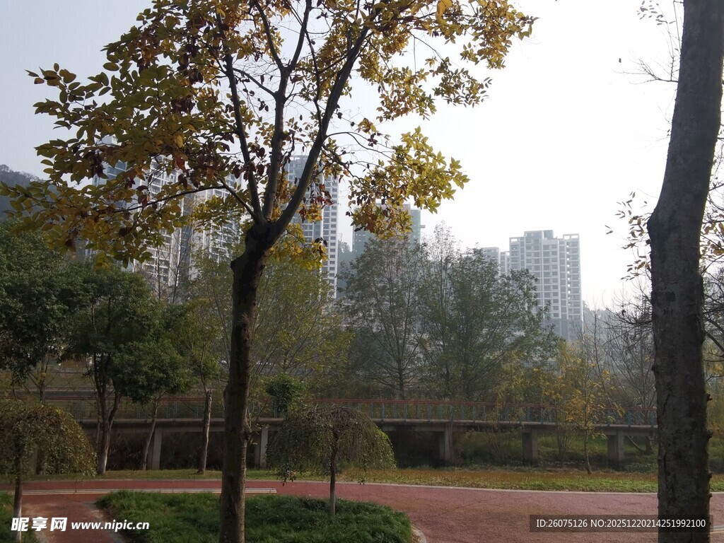 秋日公园静谧景致