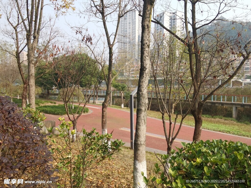 户外空旷的休闲运动场地