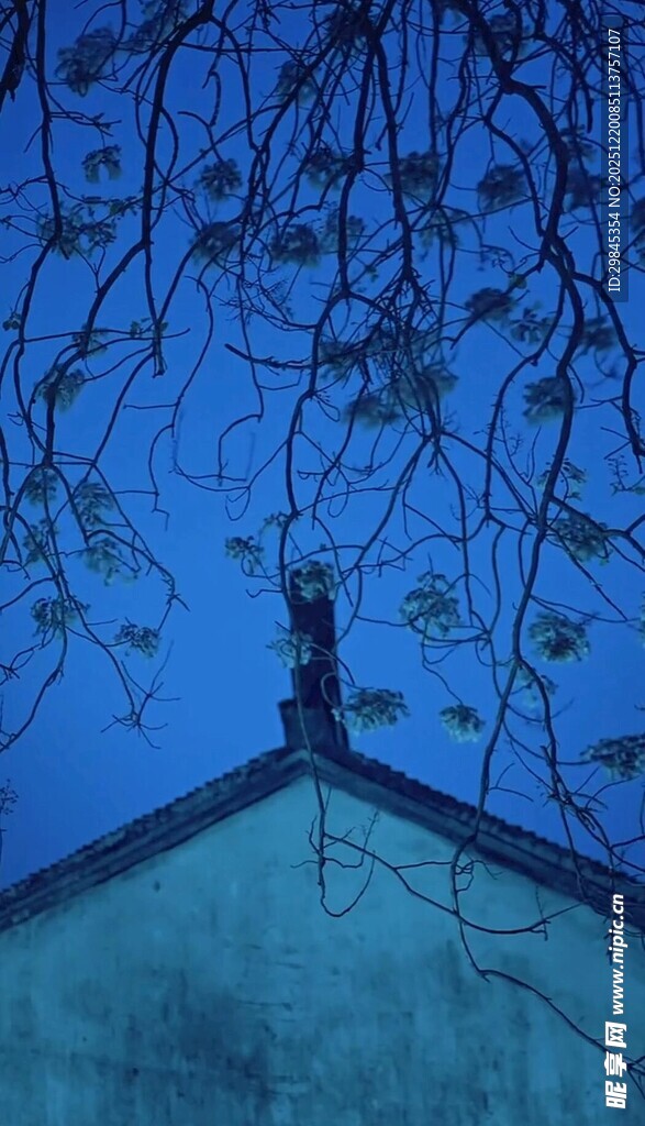 夜幕下的屋顶与低垂树枝