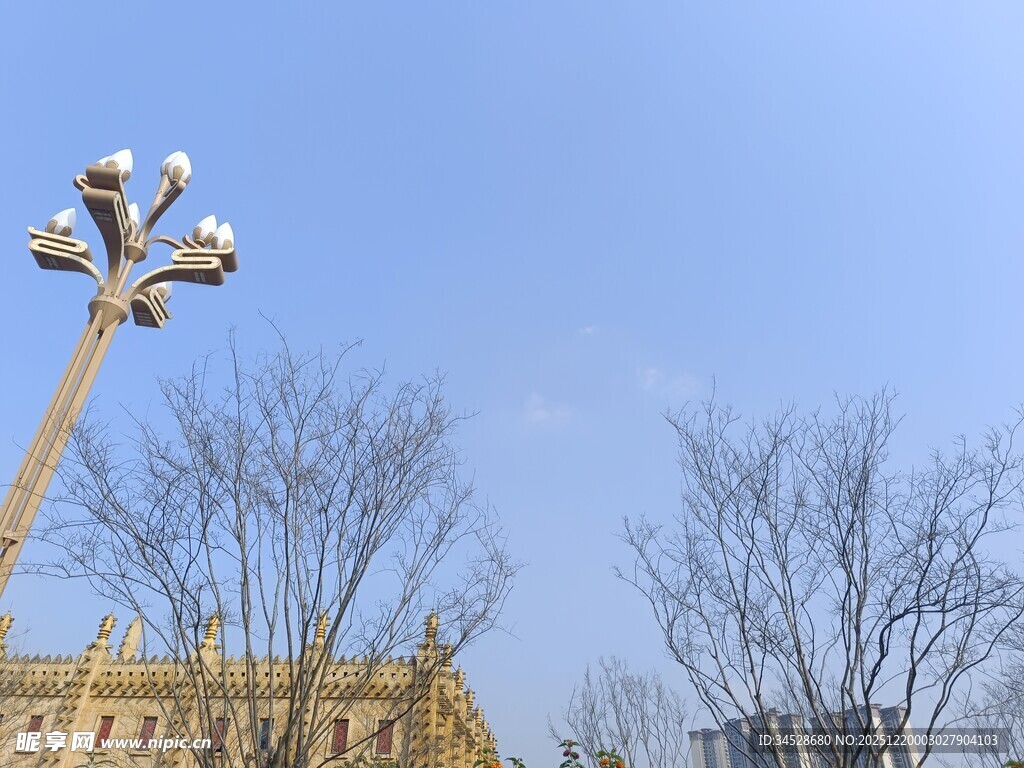 城市路灯与光秃树木景观