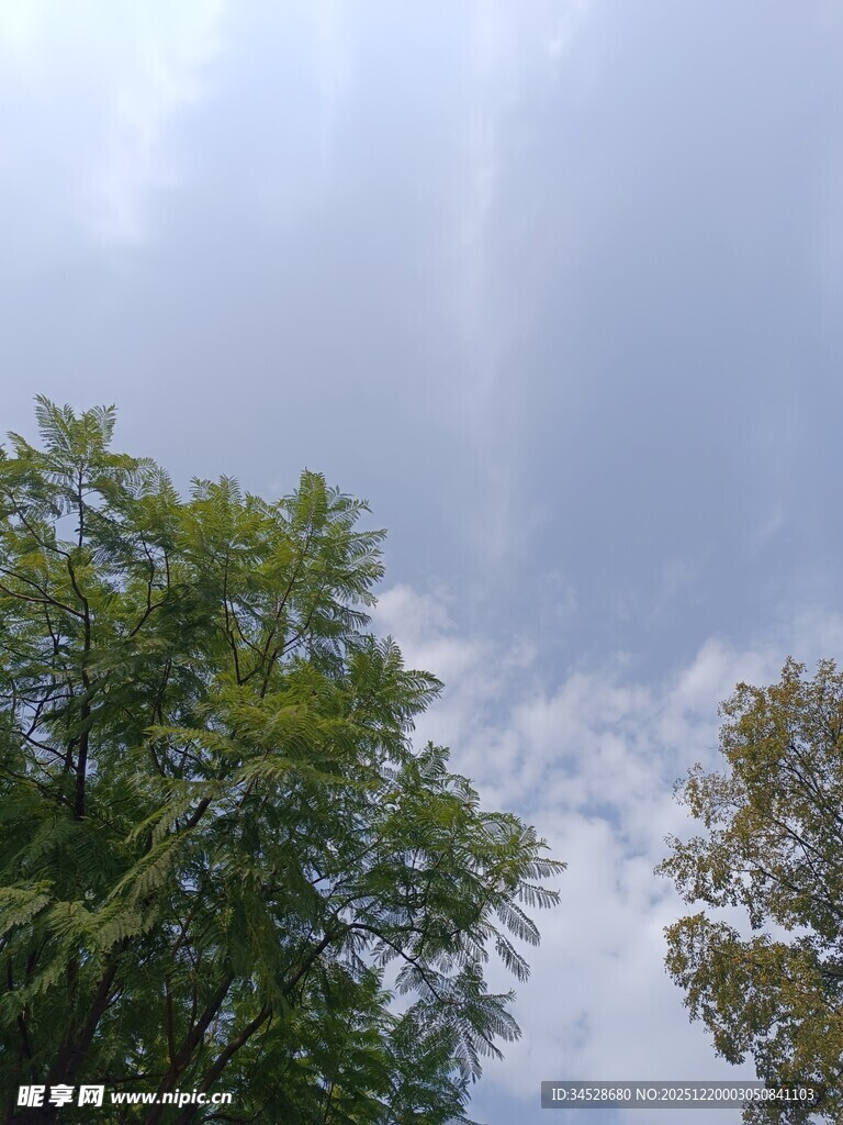 绿树蓝天间的自然景致