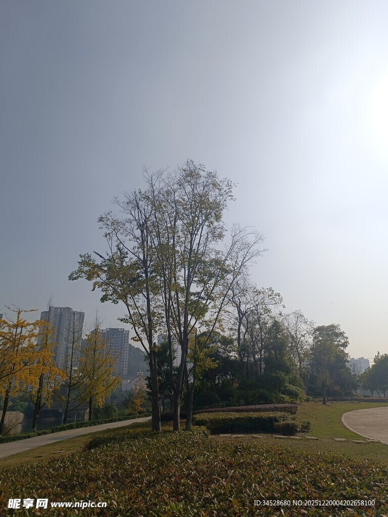 秋日公园静谧景致