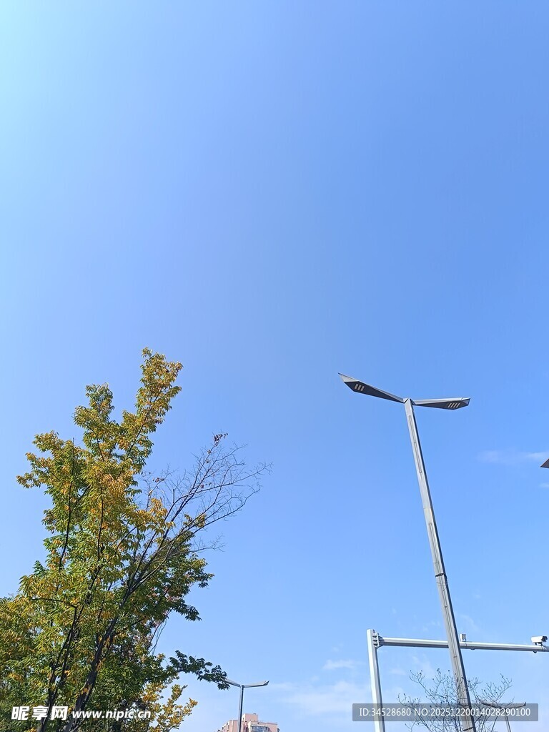 蓝天绿树旁的路灯