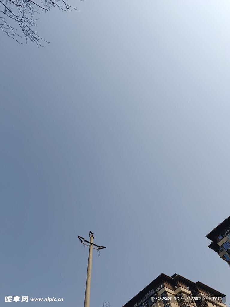 城市中高耸的电线杆与建筑