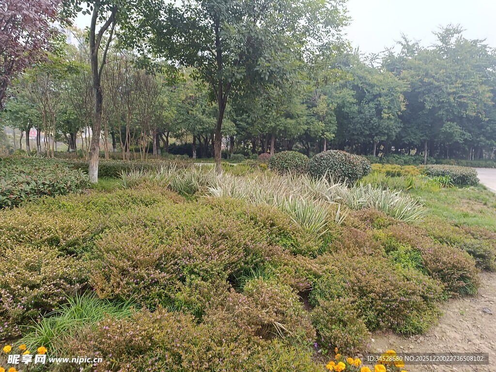 城市公园中的多彩植物景观