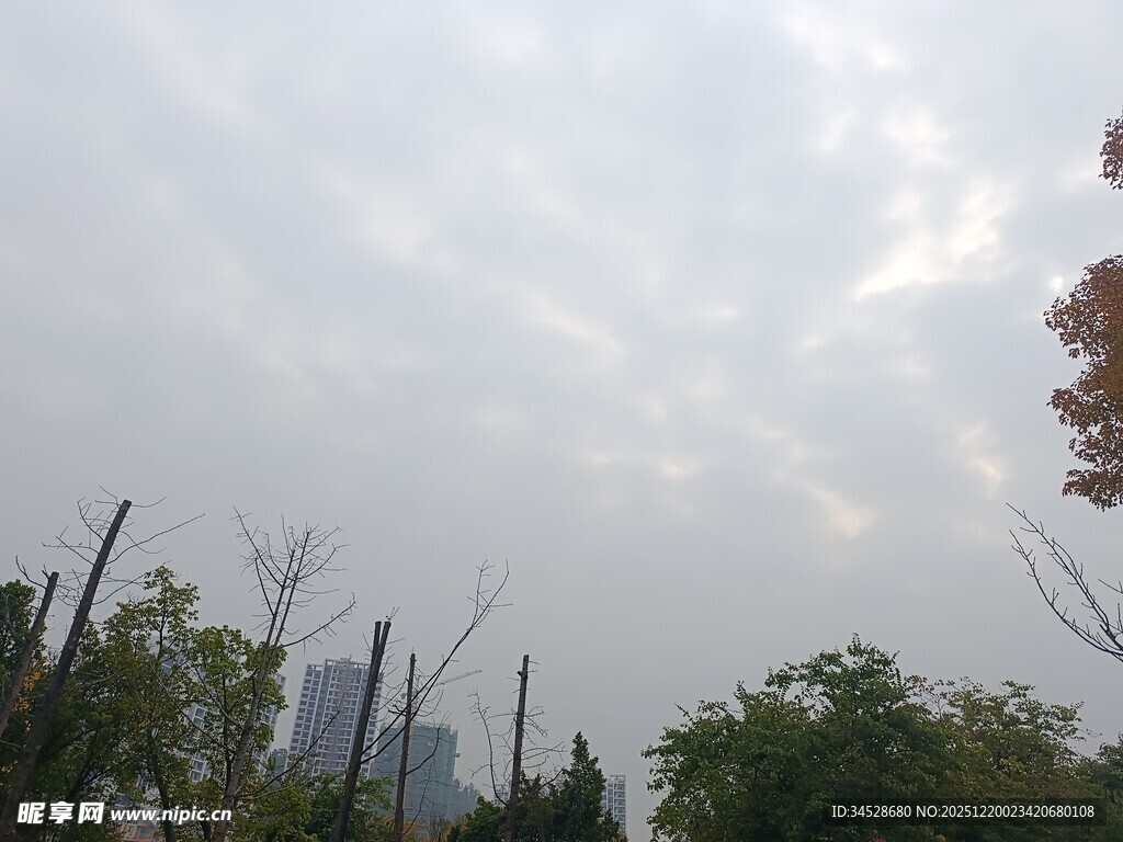 城市中朦胧天空与树木景观
