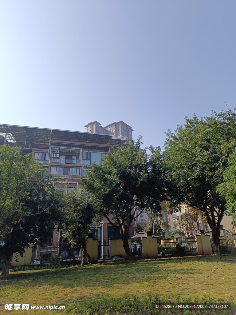 校园绿树环绕的教学楼