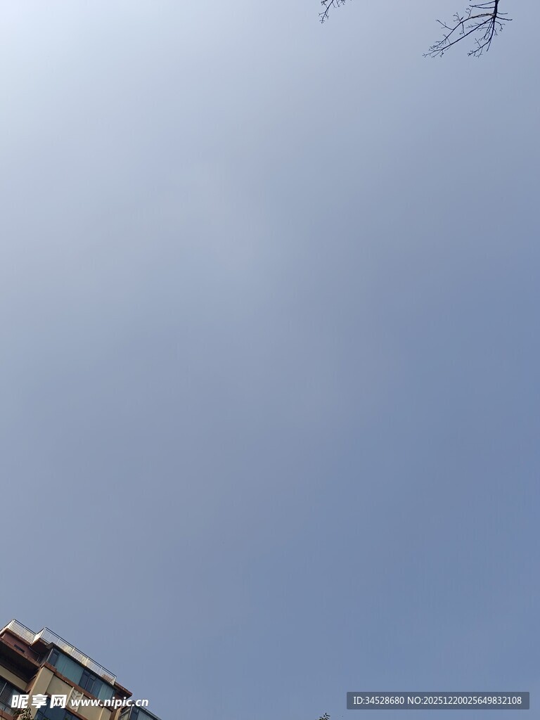 天空中飞翔的成群飞鸟