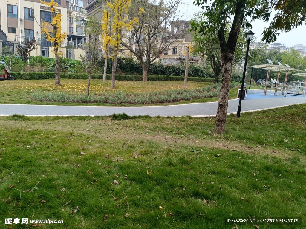 城市公园绿意盎然的草地