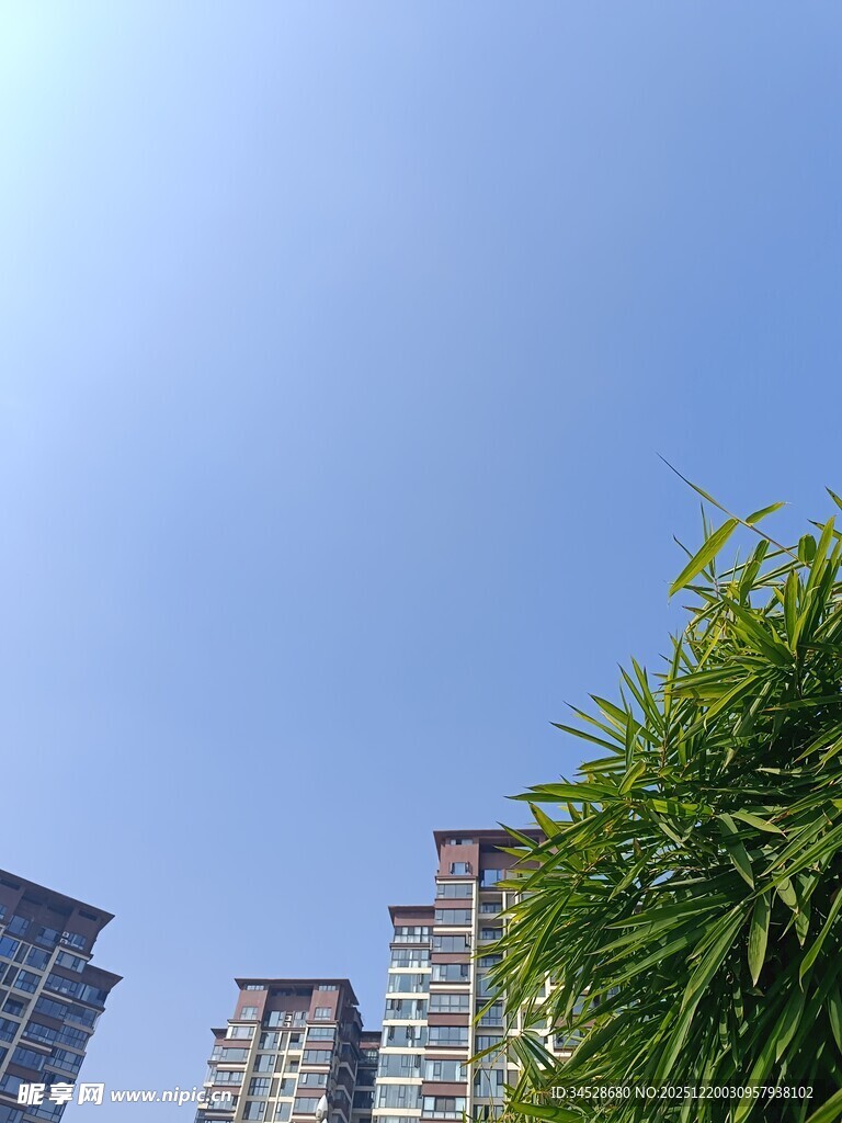 蓝天绿树旁的高楼