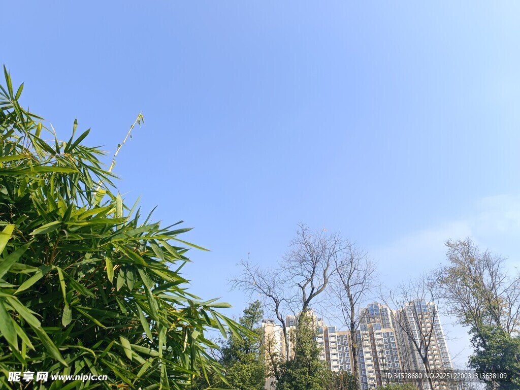 蓝天绿树旁的高楼景象