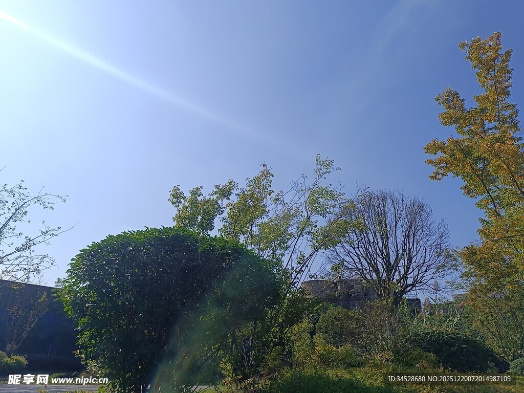 秋日户外绿植景观