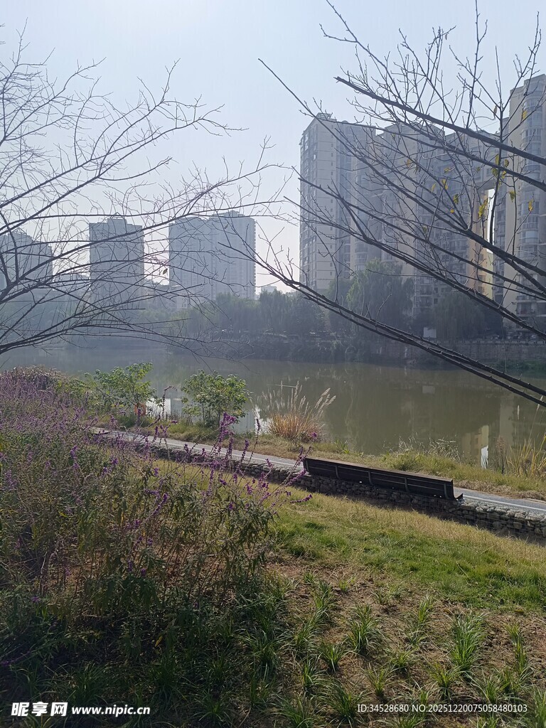 城市河畔冬日景色