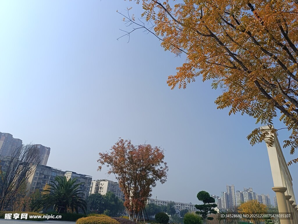 秋日城市风景