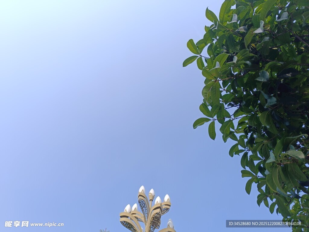 蓝天绿树间的精致路灯