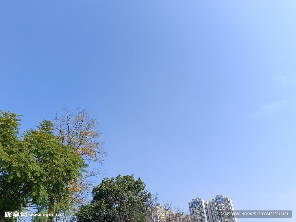 蓝天绿树旁的高楼景观