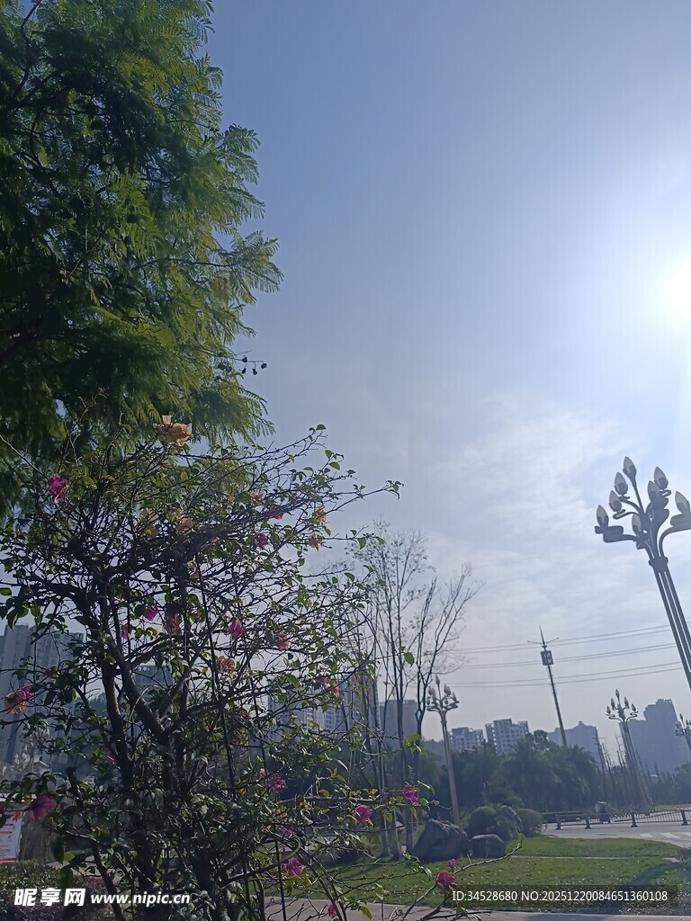 公园景观中的雕塑与绿植