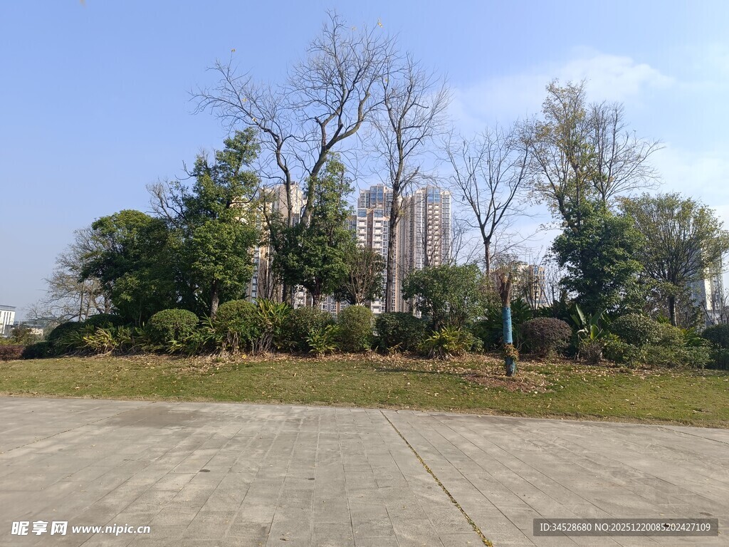 户外开阔场地与树木景观