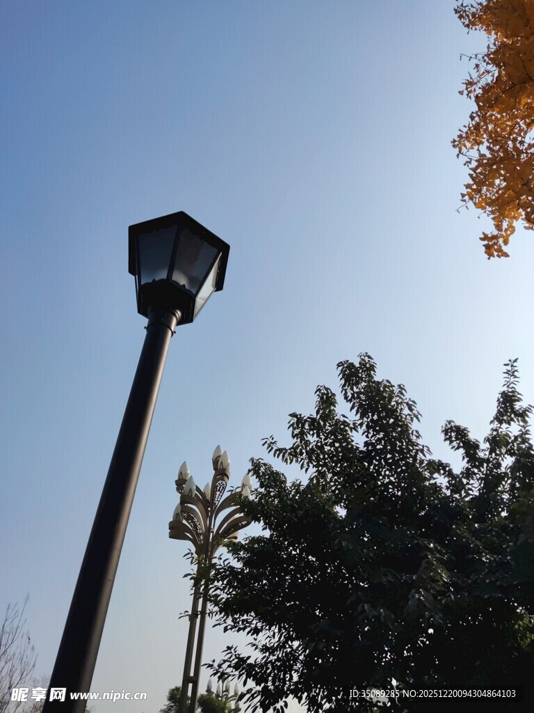 秋日户外的高杆路灯