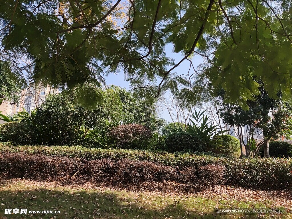 绿意盎然的园林景观