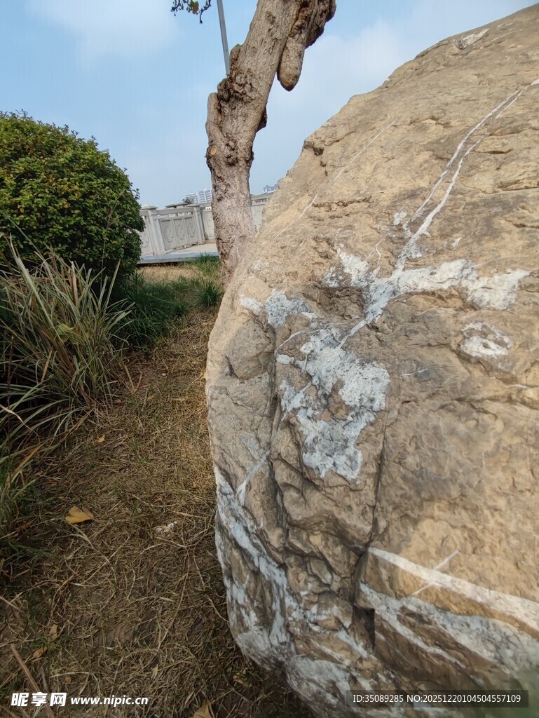 户外巨石旁的自然景致