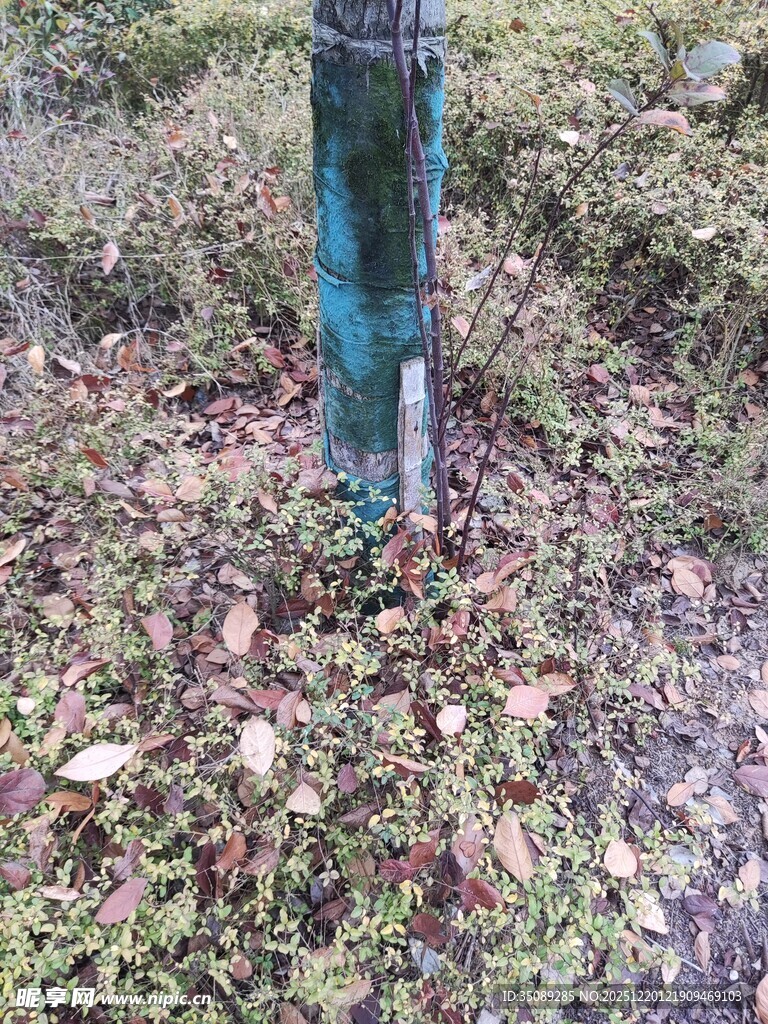 户外生锈的金属管道