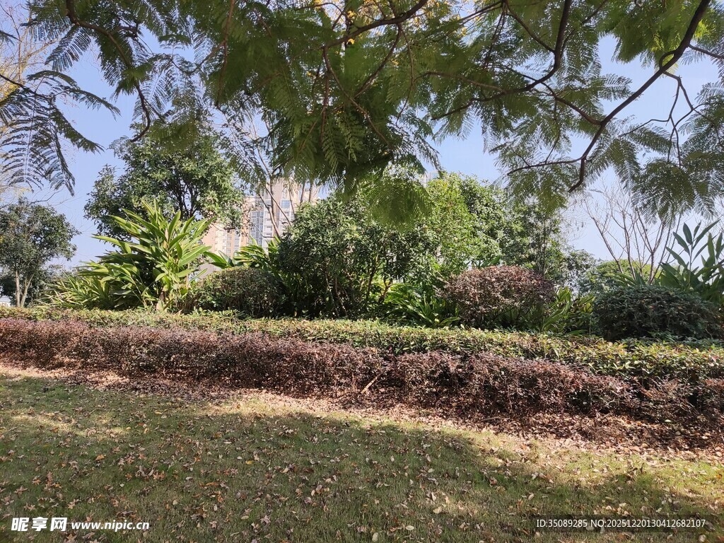 绿意盎然的户外园林景观