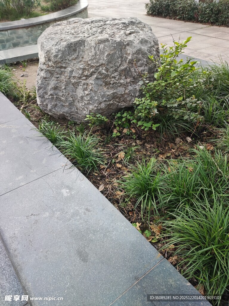 园林中巨石与绿植景观