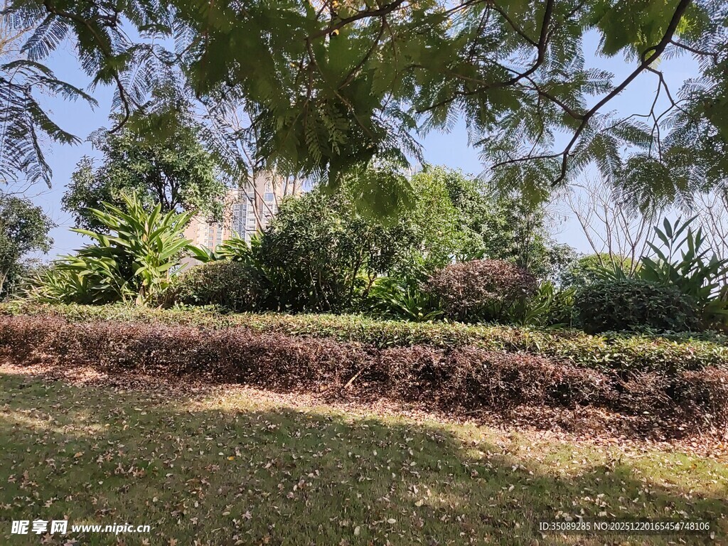 绿意盎然的户外园林景观