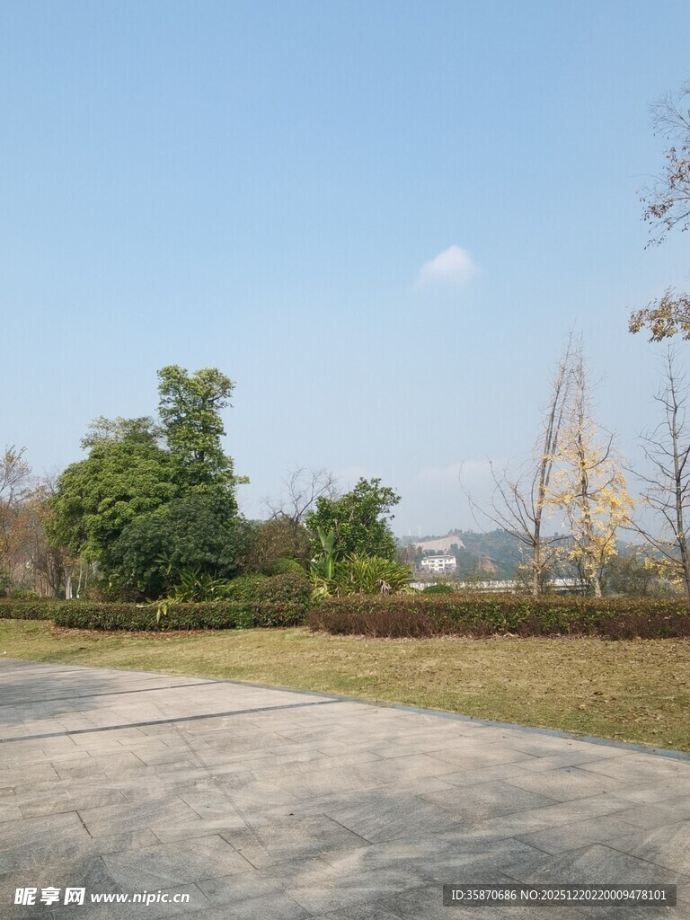 户外开阔草地与树木景观