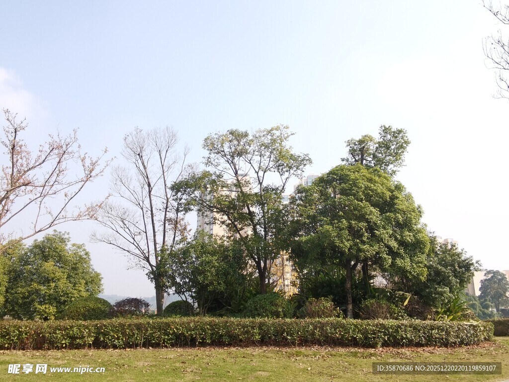 户外绿意盎然的园林景致